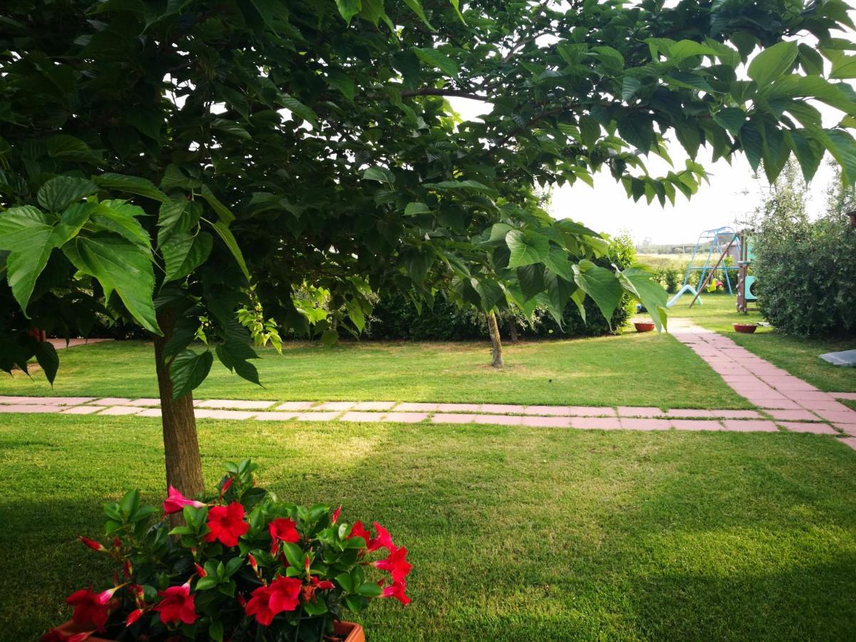 Agriturismo Alturetta リオトルト エクステリア 写真