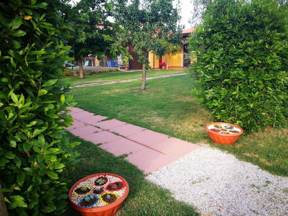 Agriturismo Alturetta リオトルト エクステリア 写真